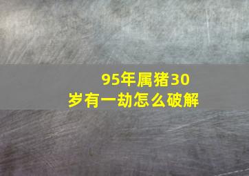 95年属猪30岁有一劫怎么破解