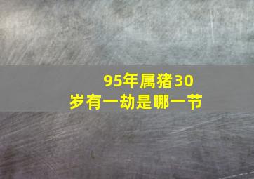 95年属猪30岁有一劫是哪一节