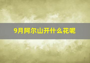 9月阿尔山开什么花呢