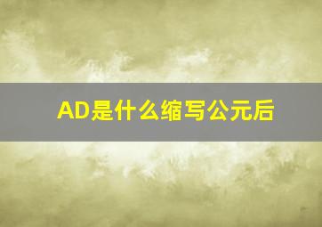 AD是什么缩写公元后