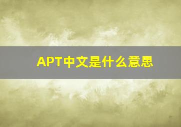 APT中文是什么意思