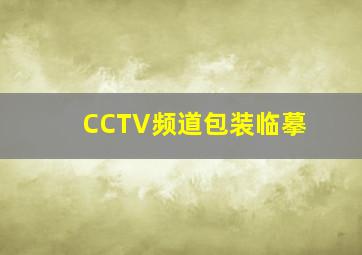 CCTV频道包装临摹