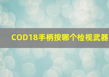 COD18手柄按哪个检视武器