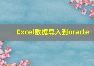 Excel数据导入到oracle