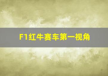 F1红牛赛车第一视角