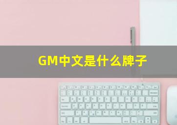 GM中文是什么牌子