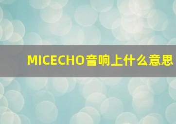 MICECHO音响上什么意思