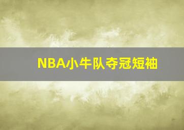 NBA小牛队夺冠短袖