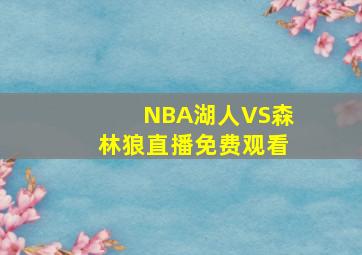 NBA湖人VS森林狼直播免费观看