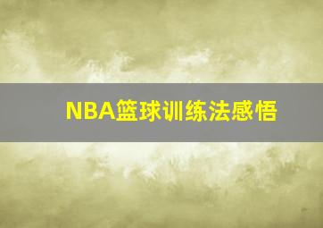 NBA篮球训练法感悟