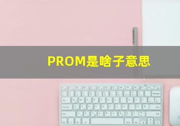 PROM是啥子意思