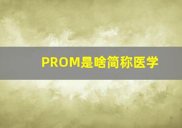 PROM是啥简称医学