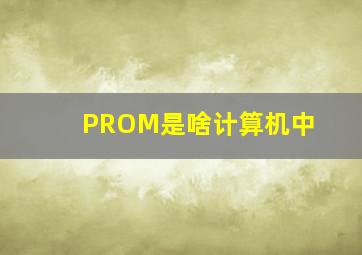 PROM是啥计算机中