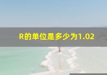 R的单位是多少为1.02