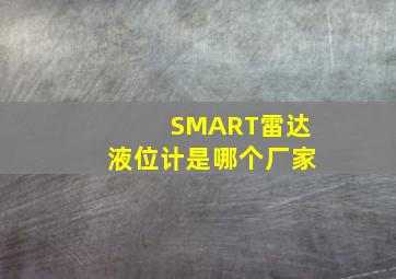 SMART雷达液位计是哪个厂家