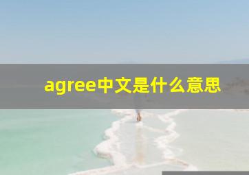 agree中文是什么意思