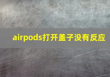 airpods打开盖子没有反应