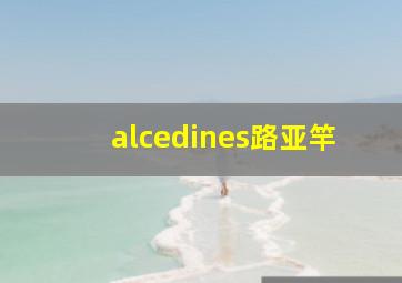 alcedines路亚竿