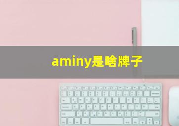 aminy是啥牌子