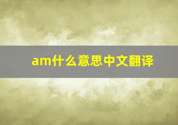 am什么意思中文翻译