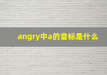 angry中a的音标是什么