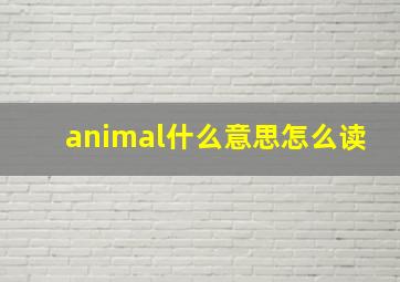 animal什么意思怎么读