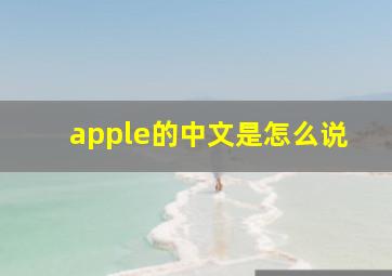 apple的中文是怎么说