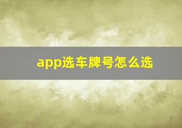 app选车牌号怎么选