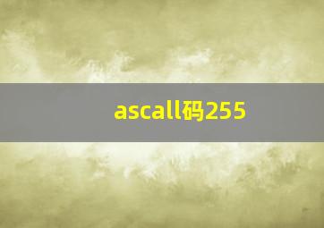 ascall码255