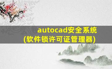 autocad安全系统(软件锁许可证管理器)