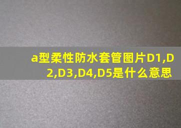 a型柔性防水套管图片D1,D2,D3,D4,D5是什么意思