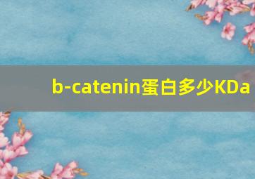 b-catenin蛋白多少KDa