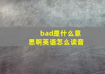 bad是什么意思啊英语怎么读音