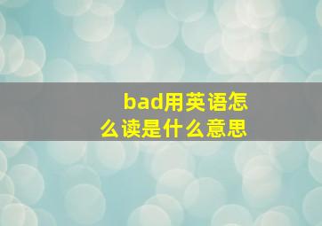 bad用英语怎么读是什么意思