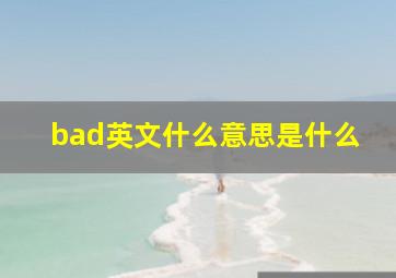 bad英文什么意思是什么