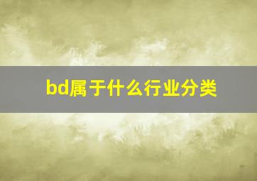 bd属于什么行业分类