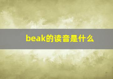 beak的读音是什么