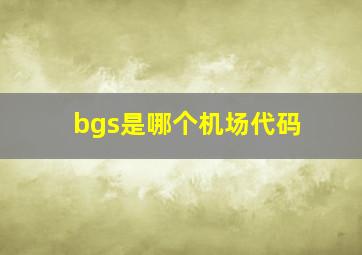 bgs是哪个机场代码