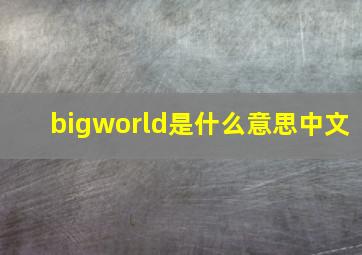 bigworld是什么意思中文