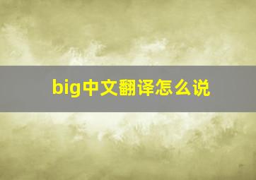 big中文翻译怎么说