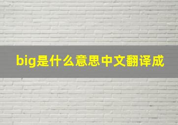 big是什么意思中文翻译成