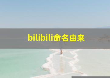 bilibili命名由来