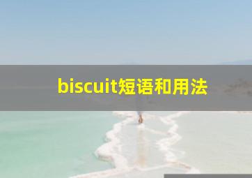 biscuit短语和用法