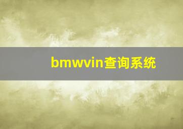 bmwvin查询系统