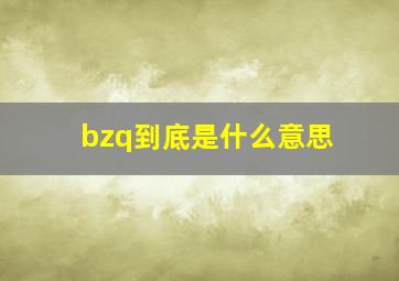 bzq到底是什么意思