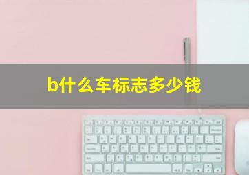 b什么车标志多少钱