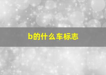 b的什么车标志