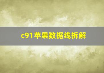 c91苹果数据线拆解