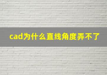 cad为什么直线角度弄不了