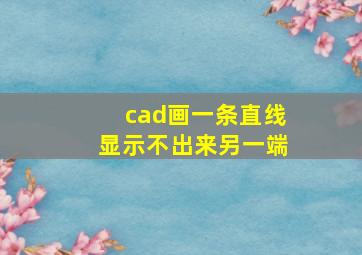 cad画一条直线显示不出来另一端